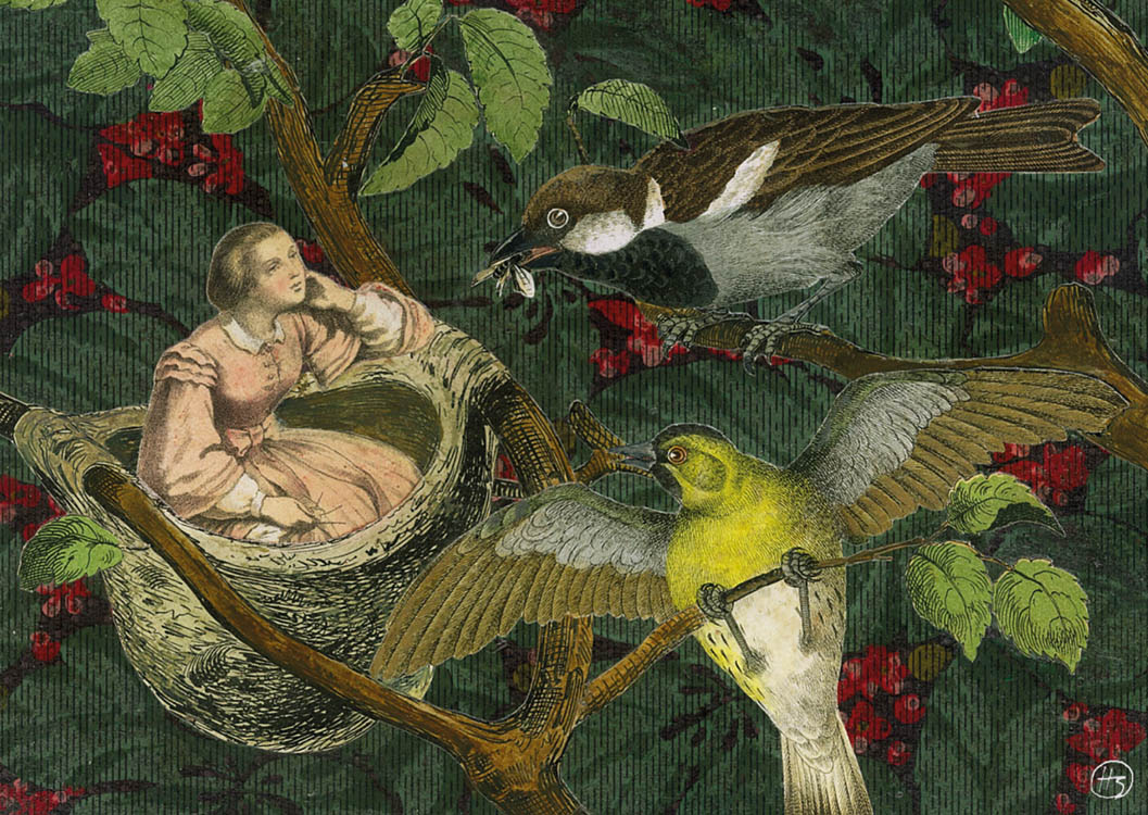 Wenn ich ein Vogel wär